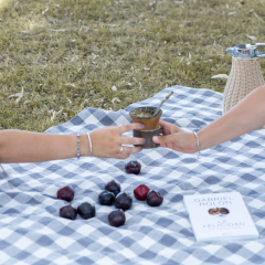 Lona picnic en internet