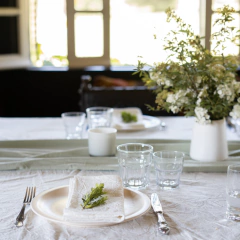 Mantel liso en internet