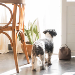 Traba puerta - tienda online