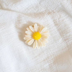 Bombones para hornito - tienda online