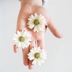 Bombones para hornito en internet