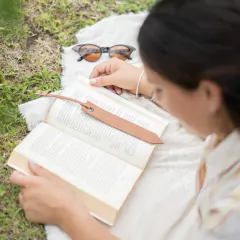 Señalador en internet