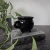 Taza Cauldron - comprar online