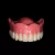 Dente Posterior Inferior Pop-Dent Polímero Sintético Vipi na internet