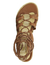 4511 Esencial Plataforma camel en internet