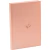 Bíblia ARA, Rose Tan, Capa Dura - comprar online