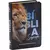 Bíblia Sagrada - Edição de Bolso - Leão - comprar online