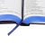 Biblia Sagrada Capa Leao - Editora CBM