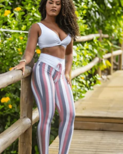 Conjunto Vega na internet