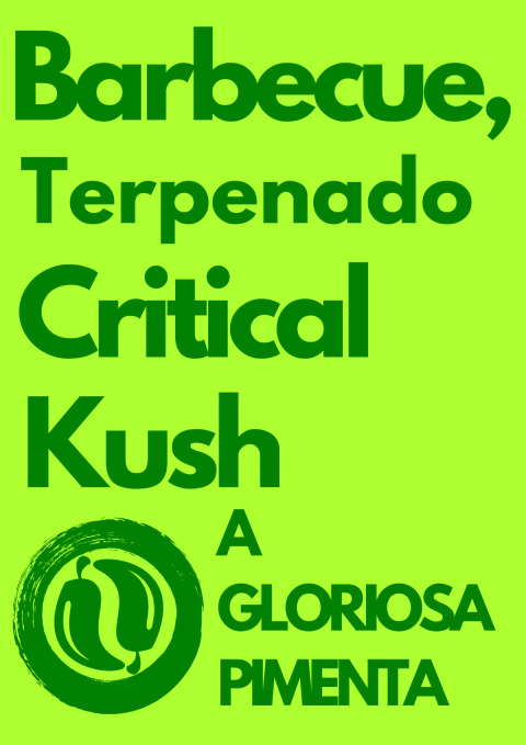 Barbecue Terpenado Critical Kush. - comprar online