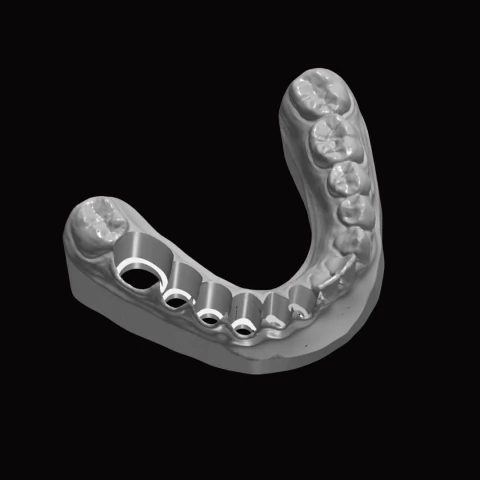 Modelo troquelizado - comprar online