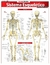 Ilustração detalhada do sistema esquelético humano, mostrando a vista anterior e posterior, com identificação dos principais ossos e estruturas ósseas.