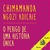 Capa do audiobook "O perigo de uma história única" de Chimamanda Ngozi Adichie, destacando o título em amarelo sobre um fundo rosa.