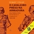 Capinha do audiolivro "O Cavaleiro Preso na Armadura" de Robert Fisher, com ilustrações de armaduras e fundo laranja.
