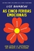 As cinco feridas emocionais: Como superar os sentimentos que impedem a sua felicidade