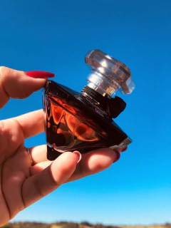 Brand Collection 069 - Inspiração La Nuit Trésor 25ml na internet