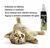 CATNIP LIQUIDO GATO SPLAY - loja online