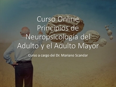 Principios de Neuropsicología del Adulto y el Adulto Mayor