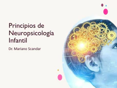 Curso Principios de Neuropsicología Infantil
