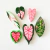 Kit de Chaveiros - Plantas Ornamentais - (cópia)