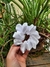 SCRUNCHIES Todas las medidas *no apto lavaropas* - comprar online