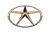 Simbolo Emblema Grande Dianteira Jac J2 J3 2010 A 2013