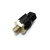 Sensor de Detonação Renault Clio Megane Scenic Logan Sandero Duster Kangoo Twingo 8200680689 7700732262