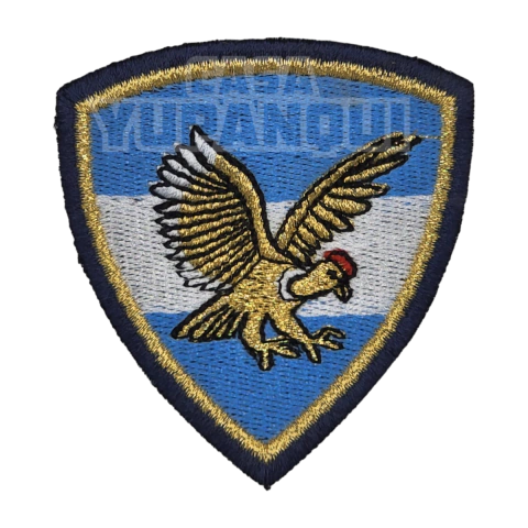 AVIACION DE EJERCITO OFICIAL JEFE