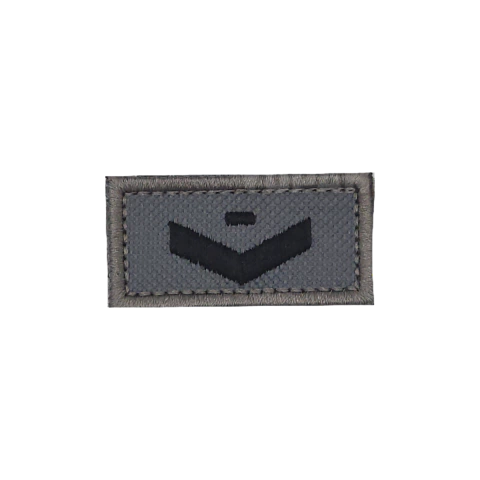 INSIGNIA BORDADA VOLUNTARIO SEGUNDA EN COMISION GYM