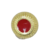 EMBLEMA OFICIAL DE ESTADO MAYOR