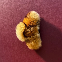 Presilha Fofudinha Média com mimo na internet