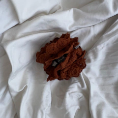 Presilha Gaia Flor Renda Terra na internet