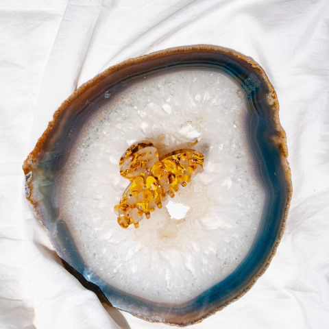 Presilha de Cabelo Trysta Flores e Brilhos - comprar online