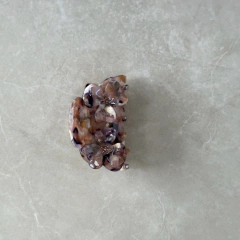 Presilha Alice Flores Acetato - M.T.A.S