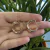 ARGOLA TORTA FOLHEADA EM OURO 18K - comprar online