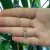 COLAR COM PINGENTE MÃO HAMSA CRAVEJADA COLORIDA FOLHEADO EM OURO 18K