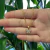 COLAR COM PINGENTE BORBOLETA CRAVEJADA FOLHEADA EM OURO 18K