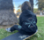Banner de Bubbly co