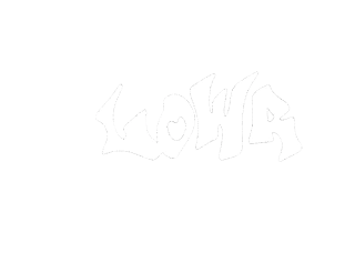 Lowr