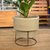 VASO LOFT 29 X 21 CM ANTIQUE CAMURCA - comprar online