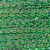 Galão passamanaria verde