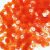 Paetê 6mm Transparente Laranja