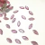 Chaton Navete rosa