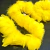 Boa de pluma de ganso amarelo