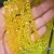 Rondela de cristal 6mm para guia