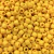 terere leitoso amarelo