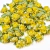 Rococó amarelo com folha