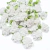 Rococó branco com folha