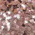 Paetê Redondo 6mm