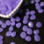 Entremeio resina 12x15mm roxo